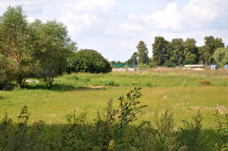 Działka Sprzedaż Bąkowice 15